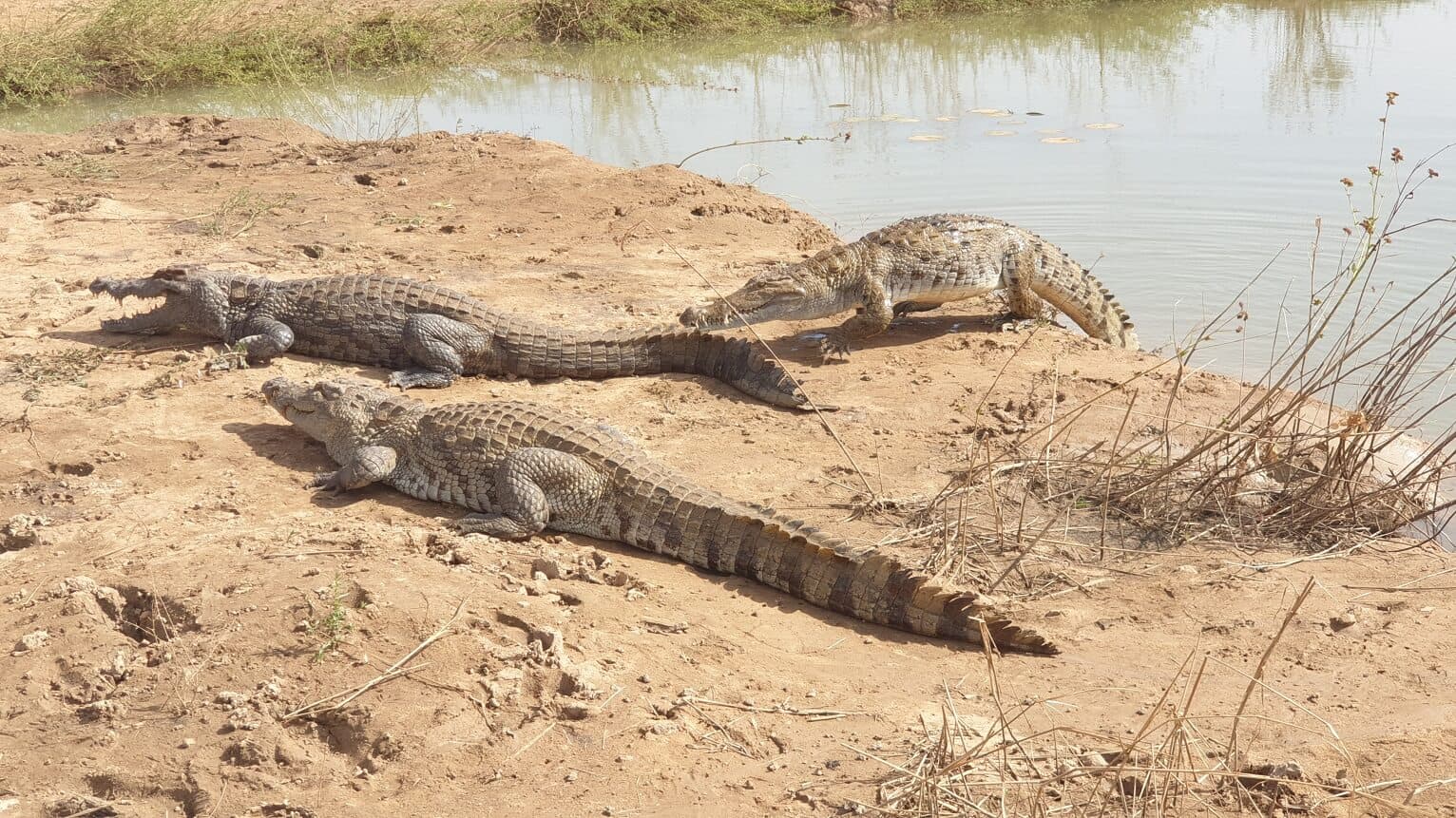 Visitez le Faso pour sa généreuse nature